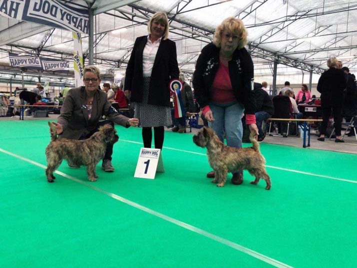 Hondenshow Bleiswijk