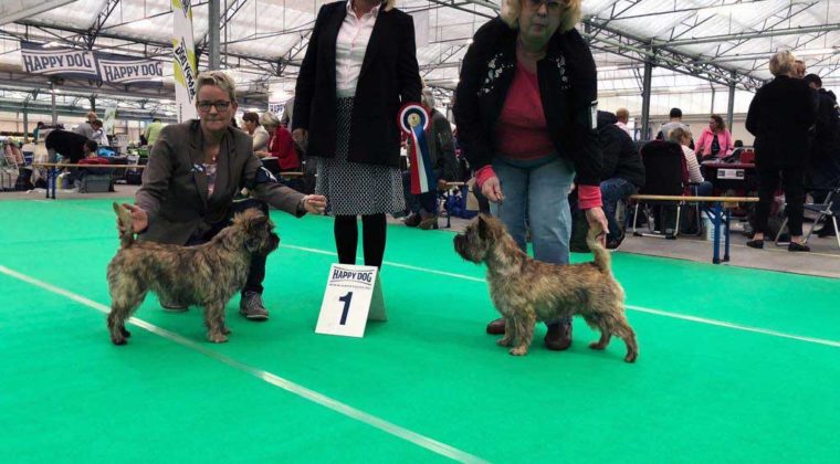 Hondenshow Bleiswijk