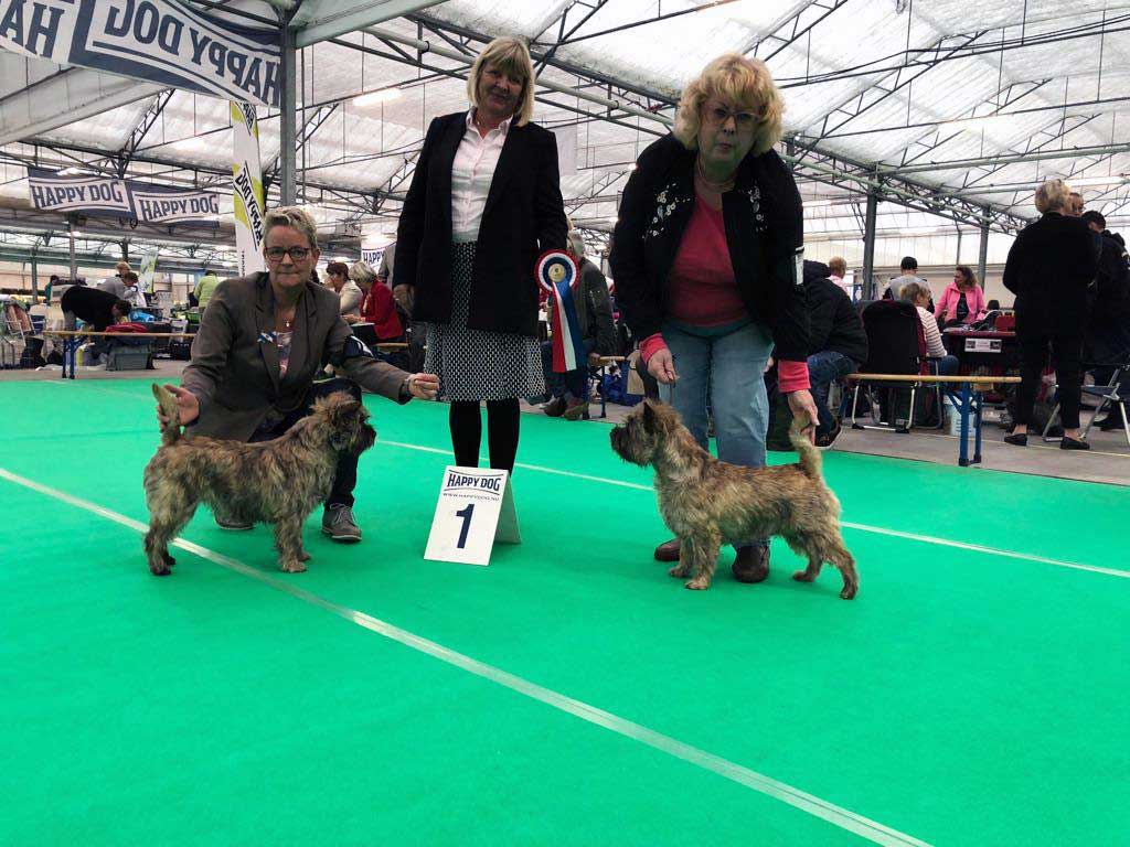 Hondenshow Bleiswijk