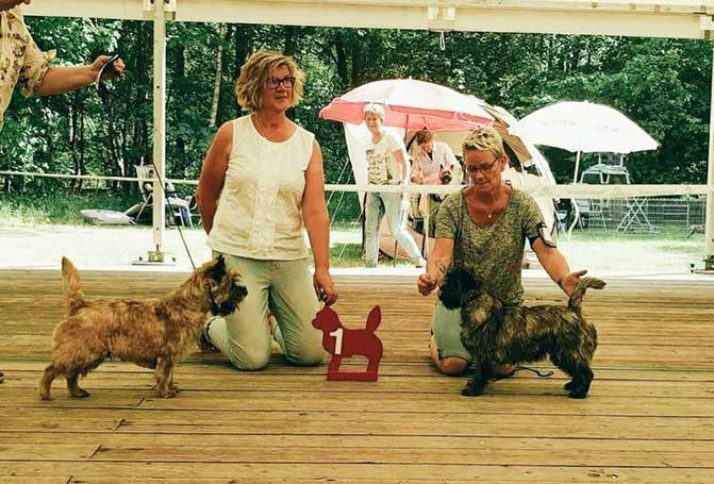 Jonge Honden en Veteranen Dag