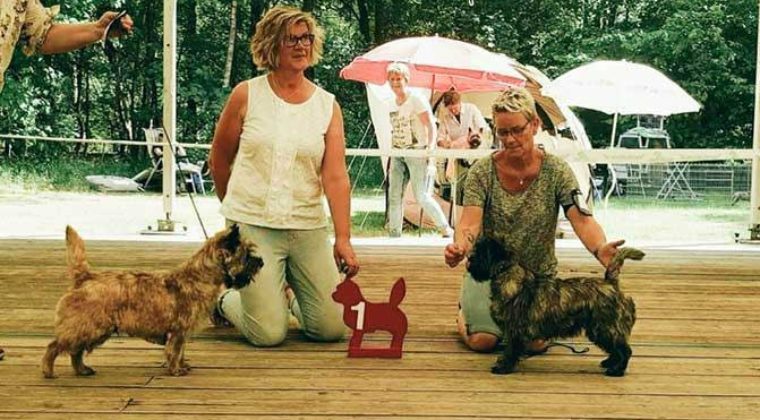 Jonge Honden en Veteranen Dag